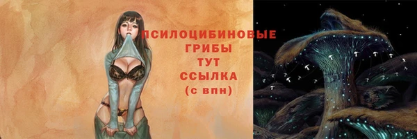 винт Коряжма