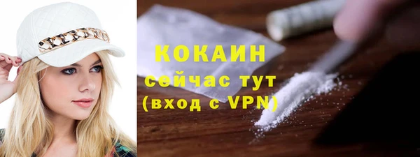 винт Коряжма