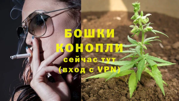 винт Коряжма