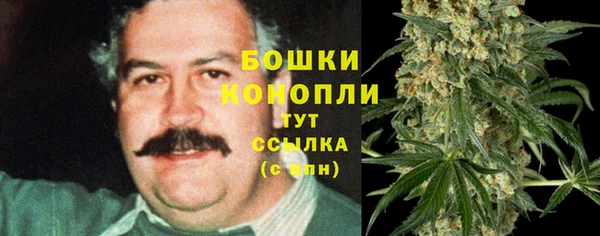 винт Коряжма