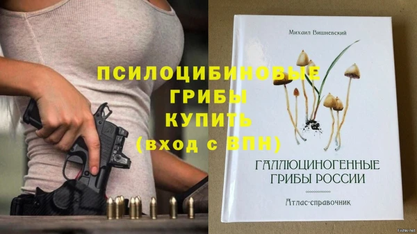 винт Коряжма
